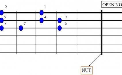 Beginners guitar lessons