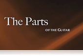 Parts of a Guitar